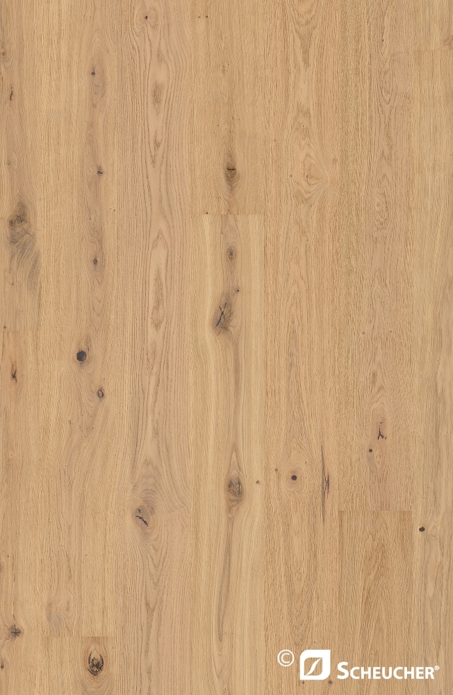 Parquet planks Elevation RUGEN